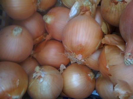Cebollas blancas Cebollas blancas