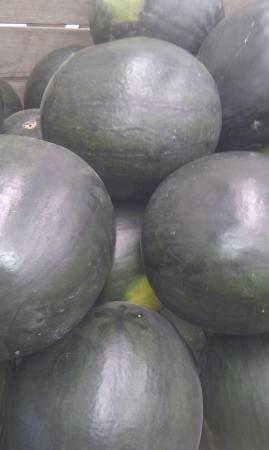 Sandia negra con pepitas Sandia negra con pepitas