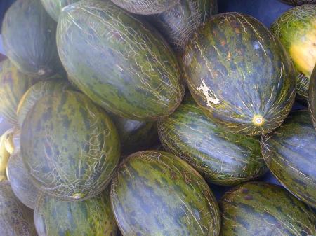 Melon calibres variados Melon calibres variados