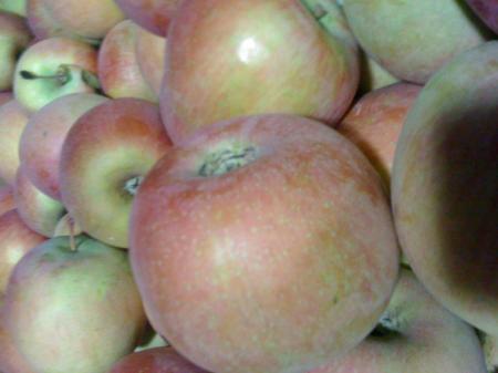 Manzana fuji Manzana fuji